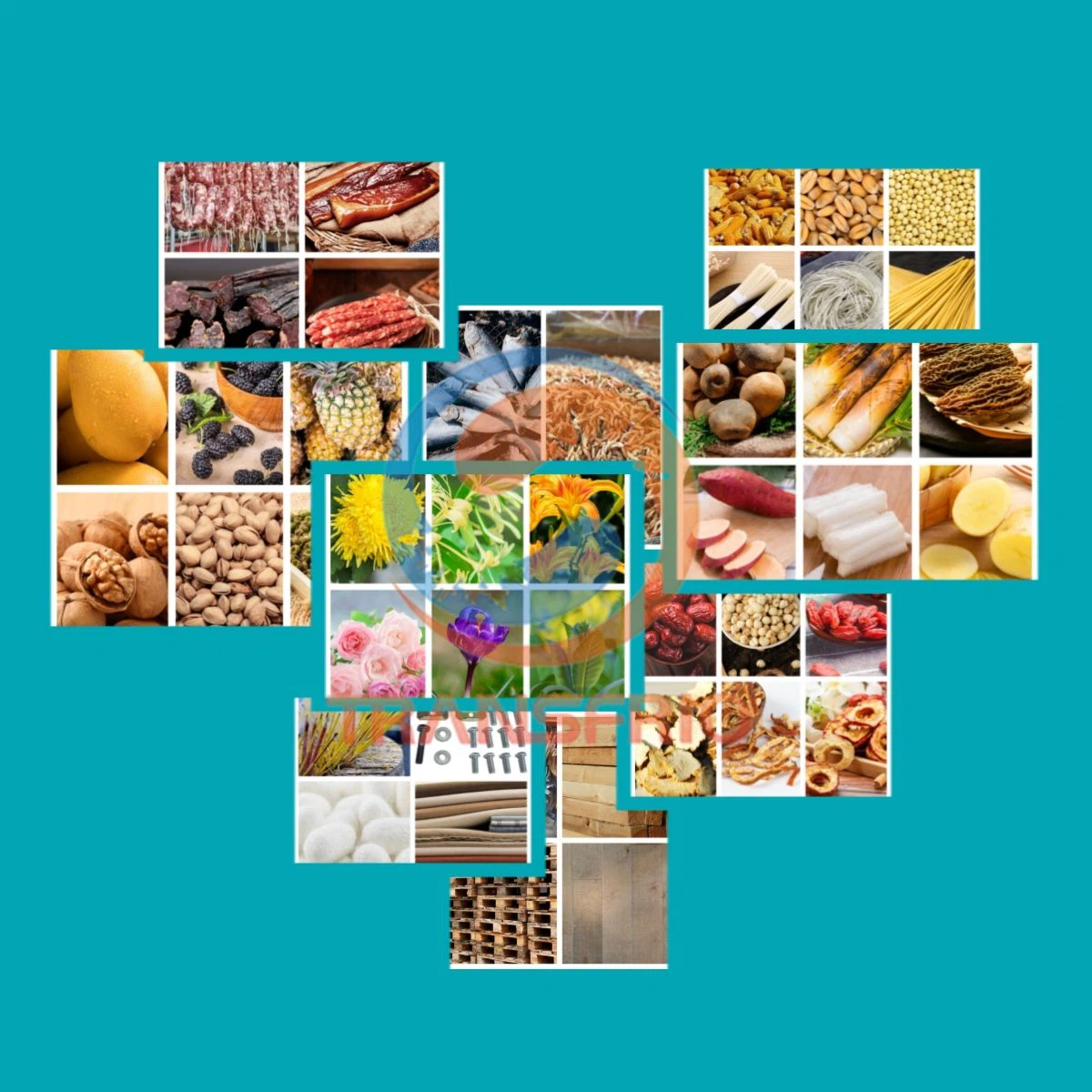 product-1200-1200 product-1200-1200